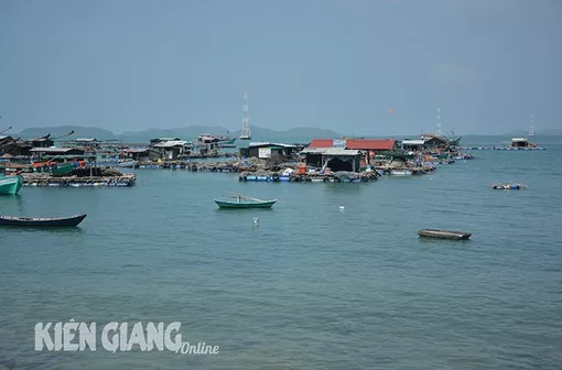 Kiên Giang: Giá trị sản xuất ngành thủy sản của huyện Kiên Lương tăng trưởng bình quân 8,54%