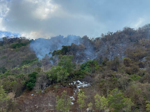 Tiếp tục cháy rừng trên núi Cô Tô