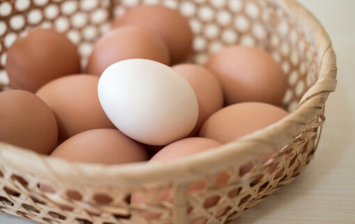 Hạn chế ăn trứng khi đang có bất ổn đường ruột