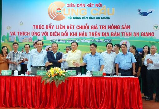 An Giang nâng chất hoạt động tổ hợp tác, câu lạc bộ nông dân