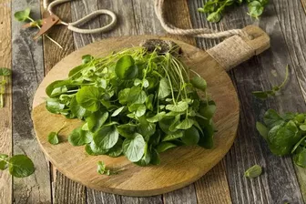 Việt Nam có loại rau chống ung thư tốt nhất thế giới, tốt cho sức khỏe tim mạch và xương khớp
