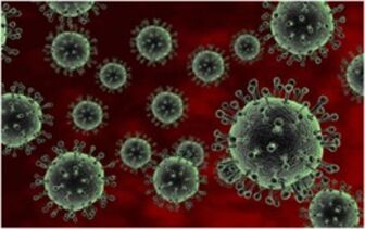 Mỹ ghi nhận thêm ca nhiễm cúm gia cầm H5N1 ở người