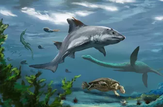 Nhật Bản: Phát hiện loài thủy quái 237 triệu tuổi