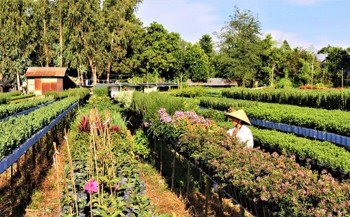 An Giang phát triển du lịch nông thôn