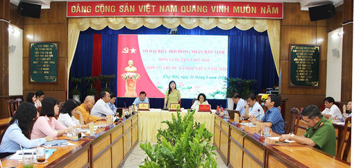 Họp Tổ Đại biểu HĐND tỉnh An Giang đơn vị huyện Chợ Mới