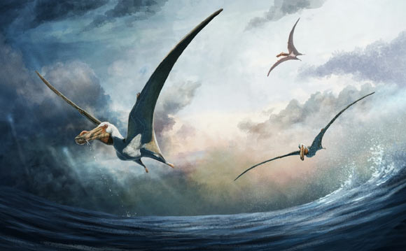 Lộ diện quái vật bay 100 triệu tuổi, sải cánh gấp đôi đại bàng