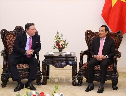 Phó Thủ tướng Trần Lưu Quang tiếp Đại sứ Hoa Kỳ Marc Evans Knapper