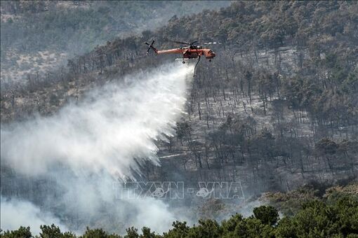 Cháy rừng tại Hy Lạp và Thổ Nhĩ Kỳ gây thiệt hại nặng nề