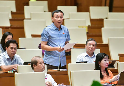 Đại biểu Quốc hội tỉnh An Giang đóng góp dự án Luật Phòng, chống mua bán người
