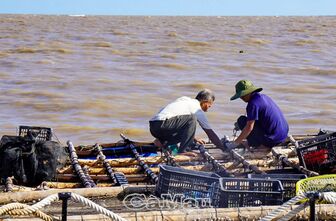 Cà Mau: Ngư dân đồng hành bảo vệ nguồn lợi thuỷ sản