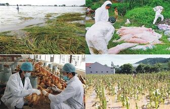 Đề xuất tăng mức hỗ trợ sản xuất nông nghiệp bị thiệt hại do thiên tai, dịch bệnh