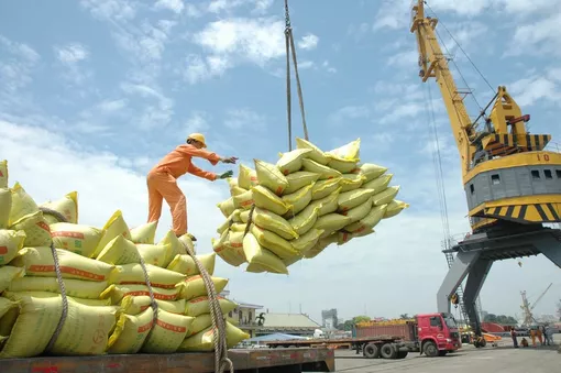 Giá gạo xuất khẩu chạm mốc 1000 USD, xuất khẩu gạo tiếp tục khởi sắc