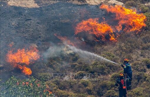 Hy Lạp: Sơ tán khẩn cấp do cháy rừng lớn
