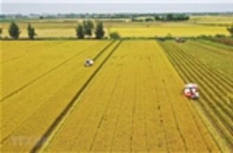 ‘Cởi trói’ cho mảng đầu tư bất động sản nông nghiệp