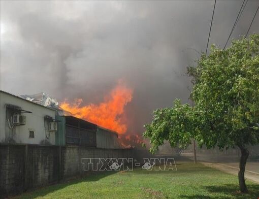Cháy lớn, khói bốc cao hàng trăm mét tại công ty gỗ ở Bình Dương