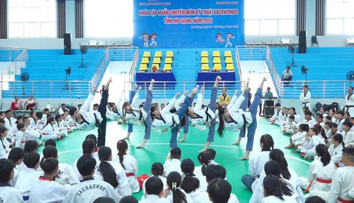 An Giang phát triển phong trào luyện tập võ Taekwondo