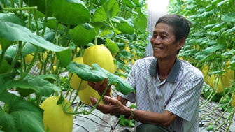 Nông dân Tân Châu ứng dụng công nghệ cao vào nông nghiệp