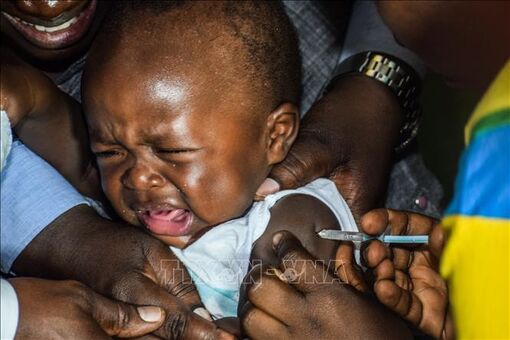 Triển khai vaccine R21 phòng sốt rét tại châu Phi
