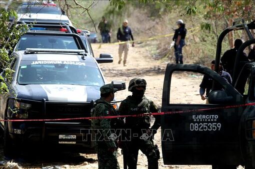 Tấn công vũ trang, 7 người thương vong tại Mexico
