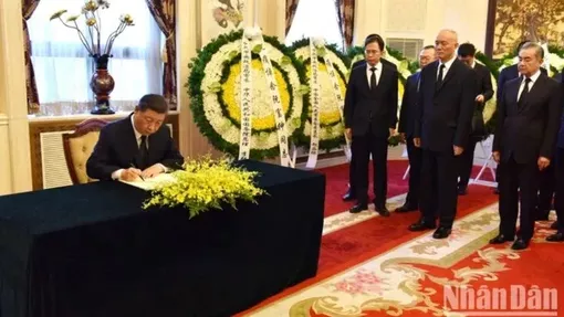 Chủ tịch Chính hiệp Trung Quốc Vương Hộ Ninh làm đại diện đặc biệt của Tổng Bí thư, Chủ tịch Trung Quốc Tập Cận Bình sang viếng Tổng Bí thư Nguyễn Phú Trọng