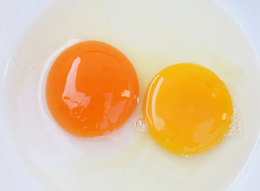 Lòng đỏ trứng gà đậm màu có bổ dưỡng hơn?