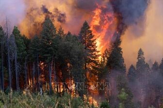 Trên 4.000 người phải sơ tán vì cháy rừng ở bang California