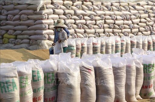 Những diễn biến mới nhất trên thị trường gạo châu Á