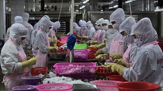 Bảy tháng, Việt Nam xuất siêu hơn 14 tỷ USD