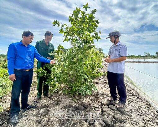 Cà Mau: Xây dựng NTM không có điểm dừng