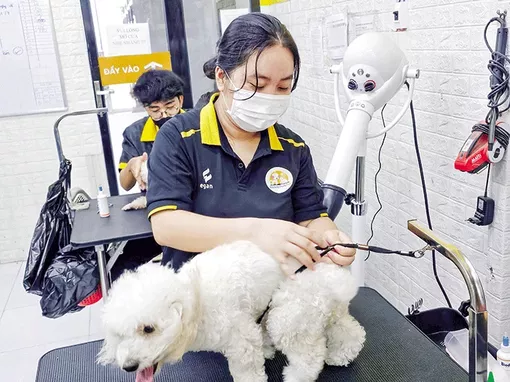 Cần Thơ: Nở rộ dịch vụ chăm sóc thú cưng