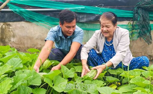 Cà Mau: Gia đình chính sách gương mẫu