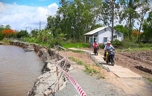 Tình trạng sạt lở tại Cà Mau ngày càng diễn biến phức tạp