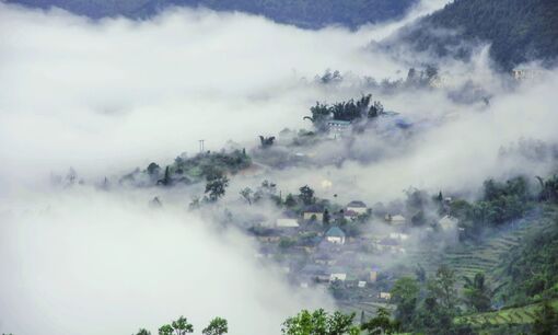 Miền sương khói quê nhà