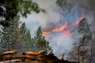 Mỹ: Cháy rừng lớn ở California bùng phát trở lại do thời tiết rất nóng và khô