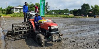 An Giang trình diễn phương pháp canh tác 1 triệu héc-ta lúa chất lượng cao