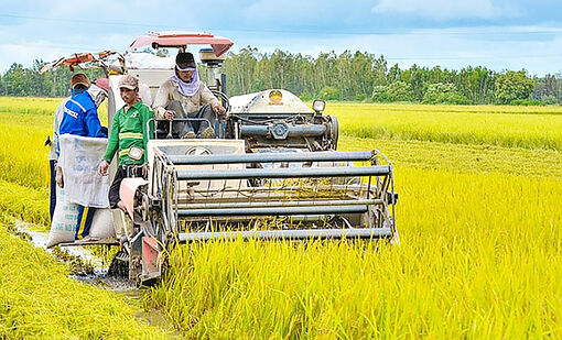 Trả lời kiến nghị cử tri lĩnh vực nông nghiệp