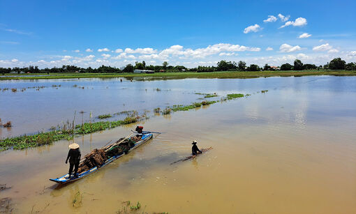 Thấp thỏm chờ mùa cá