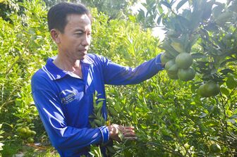 Xây dựng nông dân An Giang văn minh, phát triển toàn diện