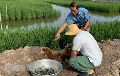 Bến Tre: Phát triển nông nghiệp xanh, nông thôn hiện đại, thúc đẩy hội nhập kinh tế quốc tế