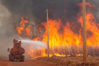 Brazil: Cháy rừng tiếp tục lan rộng, 36 thành phố tại bang Sao Paulo "báo động"