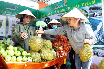 Đặc sản vùng đất Cầu Kè hội tụ về Festival 100 năm Dừa sáp Trà Vinh