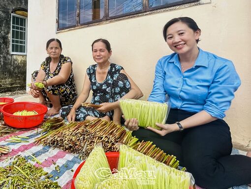 Cà Mau: Cải thiện thu nhập từ năn bộp