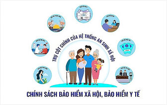 Giám sát hoạt động Ban Chỉ đạo Thực hiện chính sách BHXH, BHYT, BHTN cấp huyện, thị xã, thành phố