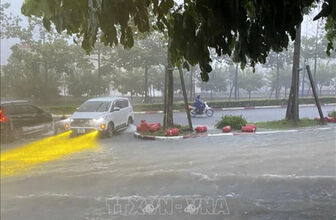 Thời tiết ngày 28/8: Tây Nguyên và Nam Bộ có mưa dông