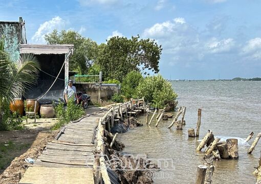 Cà Mau: Sạt lở - Lo thường trực, lực chưa toàn