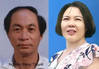 Nữ giám sát kế toán gây thiệt hại hơn 743 tỷ đồng tiền thuế trong 5 năm