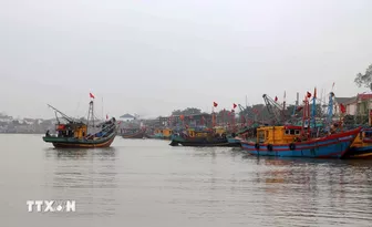 Các tỉnh, thành phố từ Quảng Ninh-Phú Yên chủ động ứng phó với bão gần biển Đông