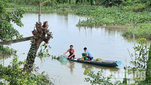 Bình yên cồn Bà Hòa