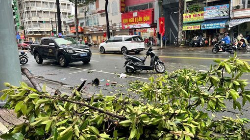 TP Hồ Chí Minh: Một người tử vong do nhánh cây xanh gãy trong mưa lớn