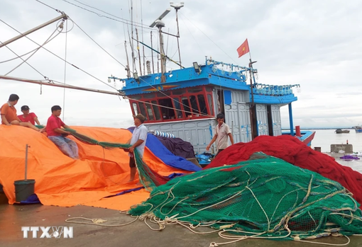 Học sinh nhiều tỉnh, thành được nghỉ học để tránh bão Yagi